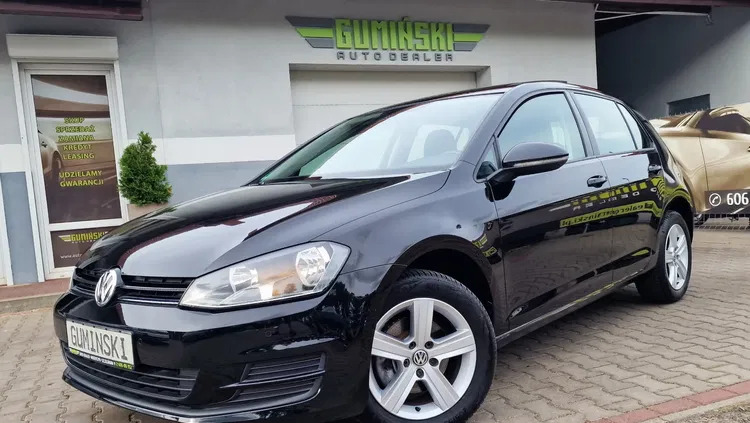 samochody osobowe Volkswagen Golf cena 39800 przebieg: 135000, rok produkcji 2013 z Suchań